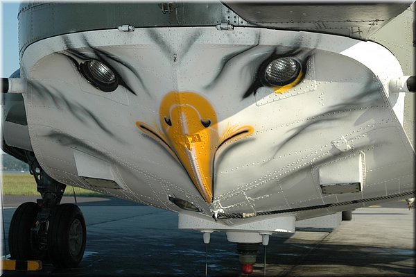 Sea King 2005 0025.JPG